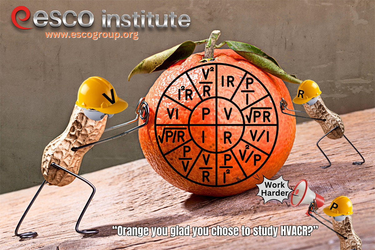 Ohm's Law Classroom Poster